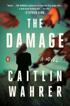 portada The Damage: A Novel (en Inglés)