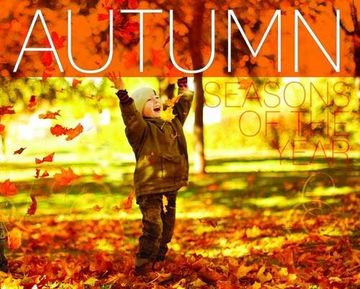 portada Autumn (Seasons of the Year)