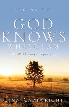 portada god knows where i am (en Inglés)