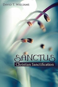 portada sanctus: christian sanctification