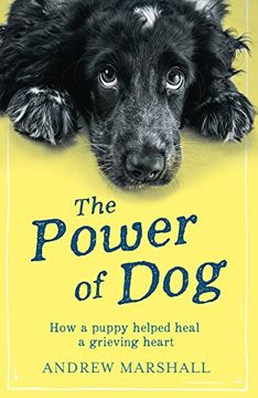 portada The Power of Dog: How a Puppy Helped Heal a Grieving Heart (en Inglés)