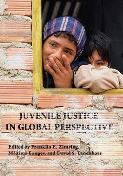 portada Juvenile Justice in Global Perspective (Youth, Crime, and Justice)