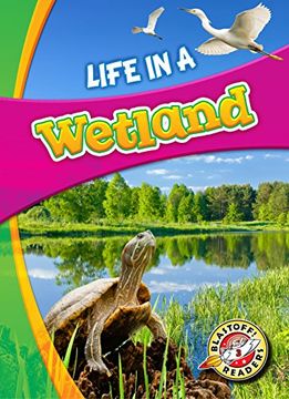 portada Life in a Wetland (Biomes Alive! ) (en Inglés)