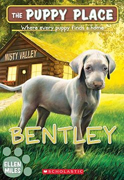 portada Bentley (The Puppy Place #53) (in English)
