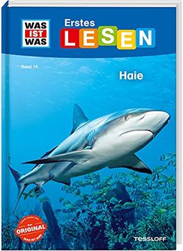 portada Was ist was Erstes Lesen Band 16. Haie (in German)