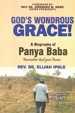portada God's Wondrous Grace! A Biography of Panya Baba Remember god Your Owner (en Inglés)