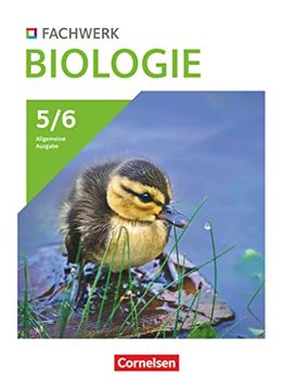 portada Fachwerk Biologie - Allgemeine Ausgabe 2023 - 5. /6. Schuljahr: Schulbuch (en Alemán)