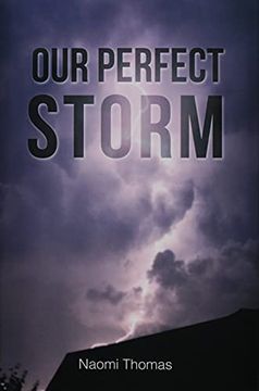 portada Our Perfect Storm (en Inglés)