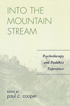 portada into the mountain stream: psychotherapy and buddhist experience (en Inglés)