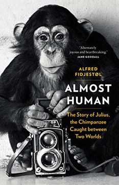 portada Almost Human: The Story of Julius, the Chimpanzee Caught Between two Worlds (in English)