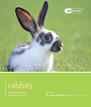 portada Rabbit (Pet Friendly) (in English)