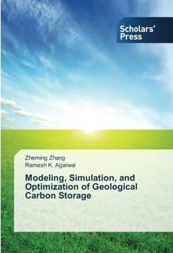 portada Modeling, Simulation, and Optimization of Geological Carbon Storage