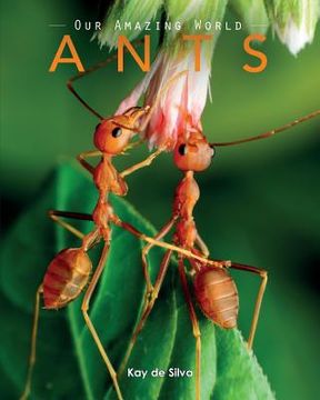 portada Ants: Amazing Pictures & Fun Facts on Animals in Nature (en Inglés)