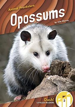 portada Opossums (in English)