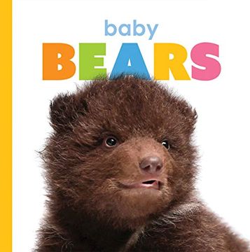 portada Baby Bears (Starting Out) (en Inglés)