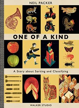portada One of a Kind: A Story About Sorting and Classifying (Walker Studio) (en Inglés)