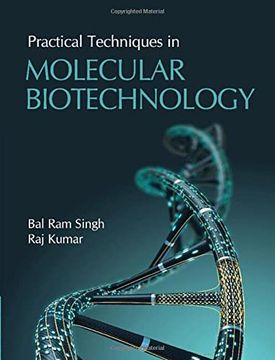 portada Practical Techniques in Molecular Biotechnology (in English)
