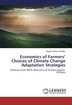 portada Economics of Farmers' Choices of Climate Change Adaptation Strategies