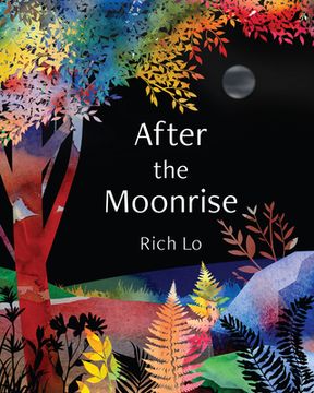 portada After the Moonrise (in English)
