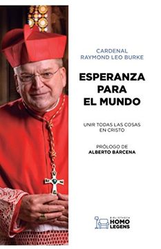 portada ESPERANZA PARA EL MUNDO: UNIR TODAS LAS COSAS EN CRISTO (Spanish Edition)
