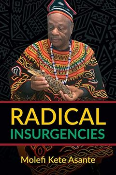 portada Radical Insurgencies (in Inglés Medio)
