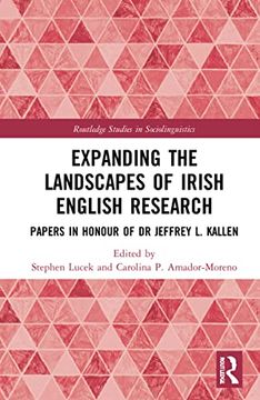 portada Expanding the Landscapes of Irish English Research (Routledge Studies in Sociolinguistics) 