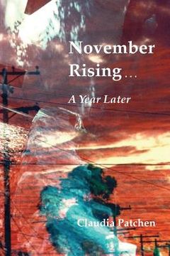 portada November Rising: A Year Later (in English)