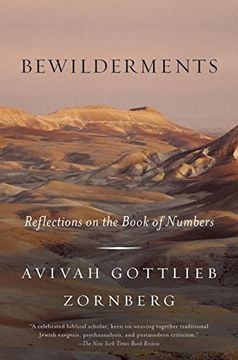 portada Bewilderments: Reflections on the Book of Numbers (in English)