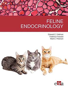 portada Feline Endocrinology - Veterinary Books - Edizioni Edra (en Inglés)
