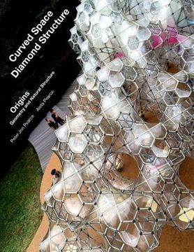 portada Curved Space Diamond Structure: Origins: Geometry and Natural Structure (en Inglés)