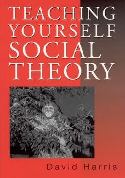 portada teaching yourself social theory