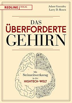 portada Das Überforderte Gehirn: Mit Steinzeitwerkzeug in der Hightech-Welt (en Alemán)