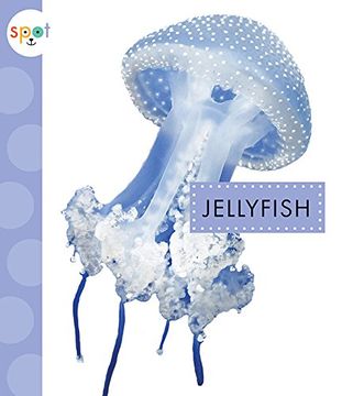 portada Jellyfish (Spot Ocean Animals) (en Inglés)