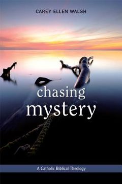 portada chasing mystery (en Inglés)