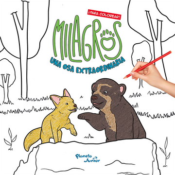 portada Milagros, una osa extraordinaria ¡Para colorear! (in Spanish)