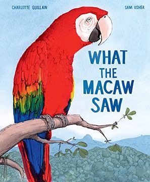 portada What the Macaw saw (en Inglés)
