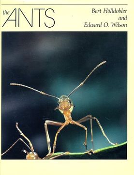 portada The Ants (in English)