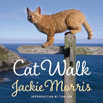 portada Cat Walk (en Inglés)