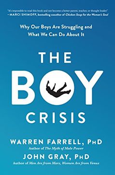 portada The boy Crisis: Why our Boys are Struggling and What we can do About it (en Inglés)