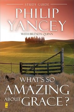 what´s so amazing about grace?