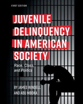 portada Juvenile Delinquency in American Society: Race, Class, and Politics (en Inglés)