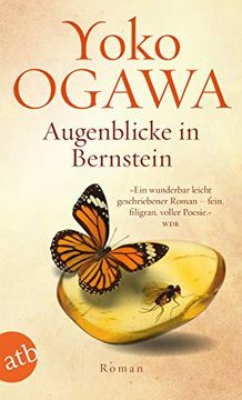 portada Augenblicke in Bernstein: Roman (in German)