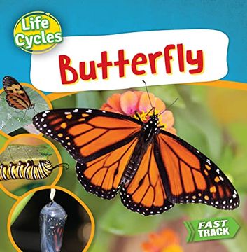 portada Butterfly (Life Cycles) (en Inglés)
