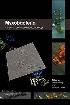 portada Myxobacteria: Genomics, Cellular and Molecular Biology