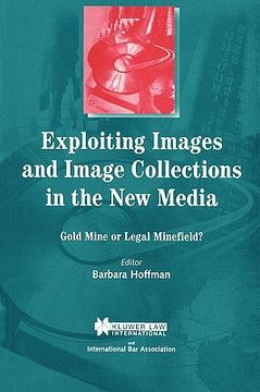 portada exploiting images and image collections in the new media: gold mine or legal minefield?
