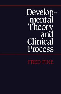 portada Developmental Theory and Clinical Process (in English)