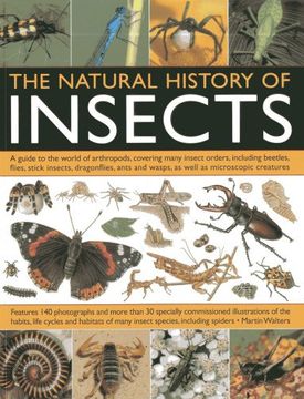 portada Natural History Of Insects: A Guide to the World of Arthropods, Covering Many Insects Orders, Including Beetles, Flies, Stick Insects, Dragonflies, Ants and Wasps, as Well as Microscopic Creatures