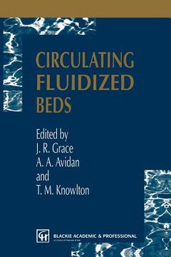 portada circulating fluidized beds (in English)
