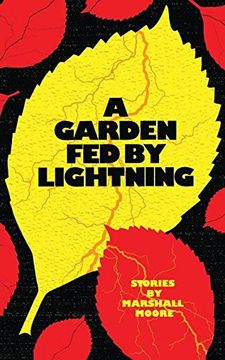 portada A Garden fed by Lightning (in English)