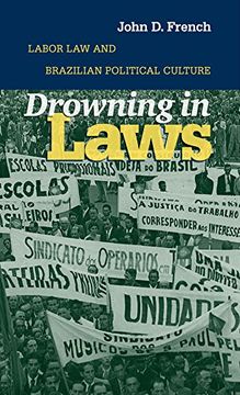 portada Drowning in Laws: Labor law and Brazilian Political Culture (en Inglés)